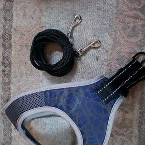 Large cat harness with long leash included